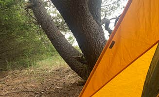 madeline's photo at The Lamp Camp near Ilwaco, WA