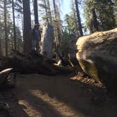 Review photo of Crystal Springs Campground — Kings Canyon National Park by Gannon N., July 14, 2018
