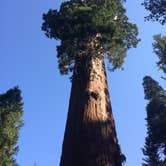 Review photo of Crystal Springs Campground — Kings Canyon National Park by Gannon N., July 14, 2018