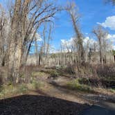 Review photo of Gros Ventre Campground — Grand Teton National Park by Amy E., May 24, 2022