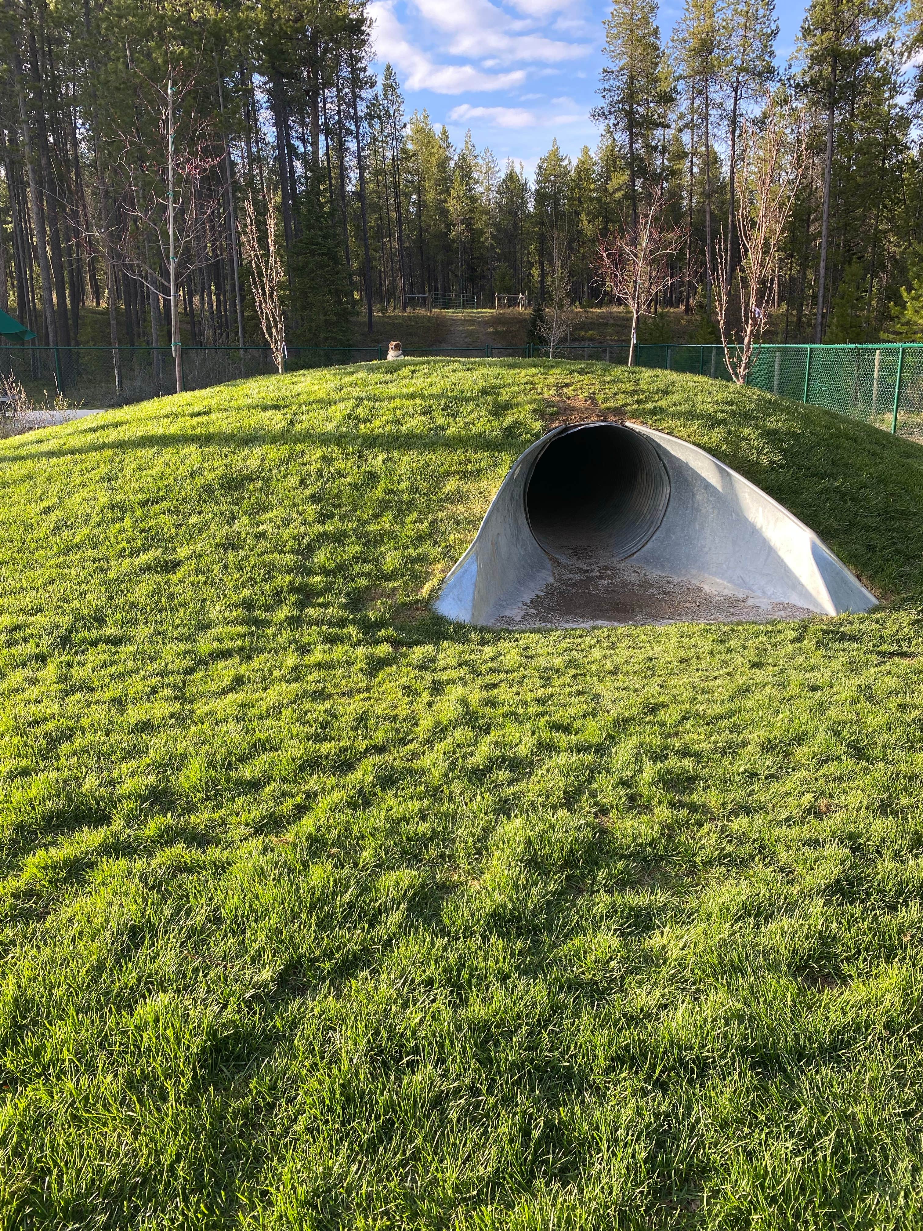 Amy E.'s photo at West Glacier KOA Resort near West Glacier, MT