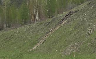 Amy E.'s photo of camping with pets at West Glacier KOA Resort in Montana