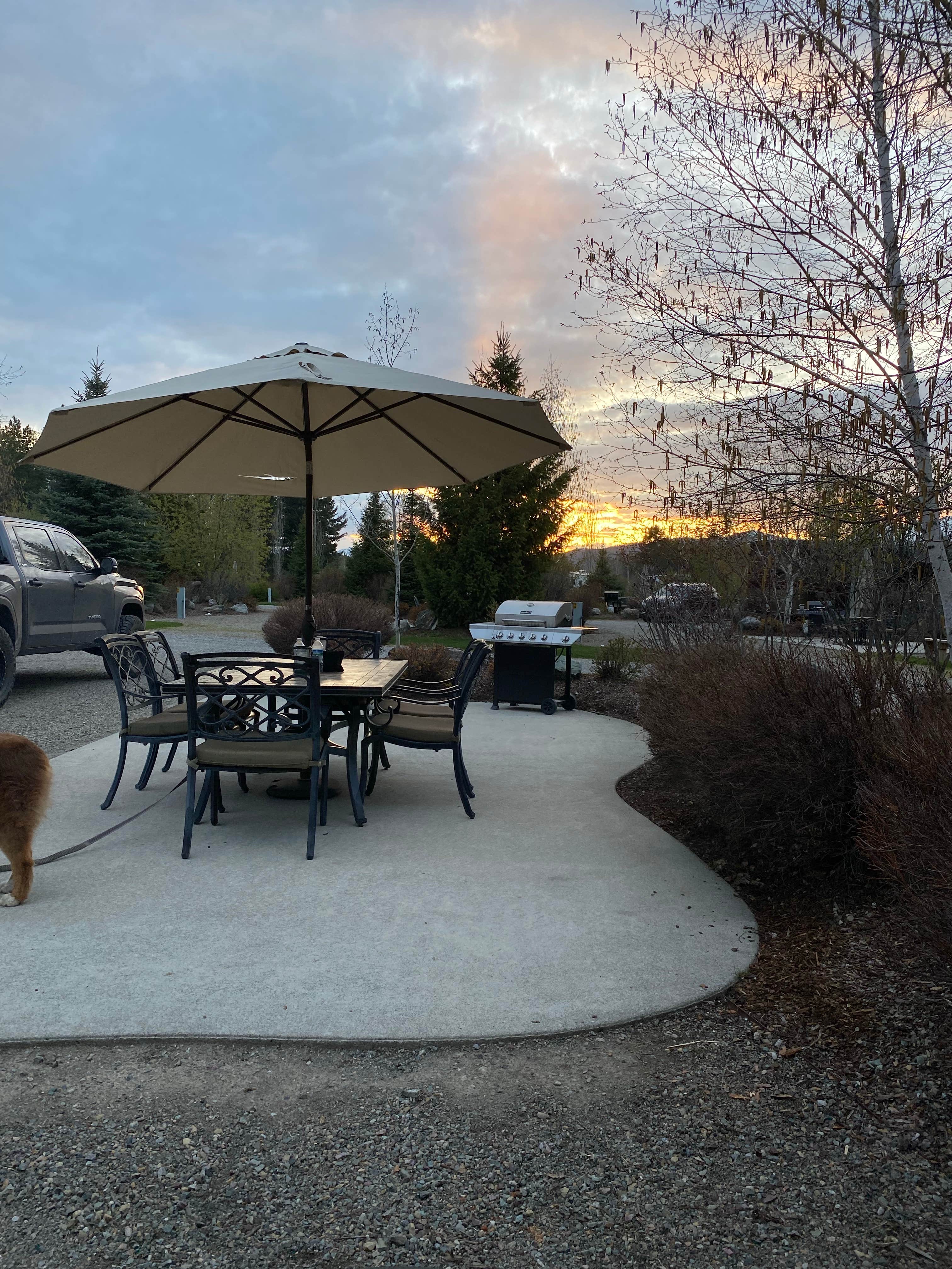 Amy E.'s photo of camping with pets at West Glacier KOA Resort near Martin City, MT