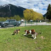 Review photo of West Glacier KOA Resort by Amy E., May 24, 2022