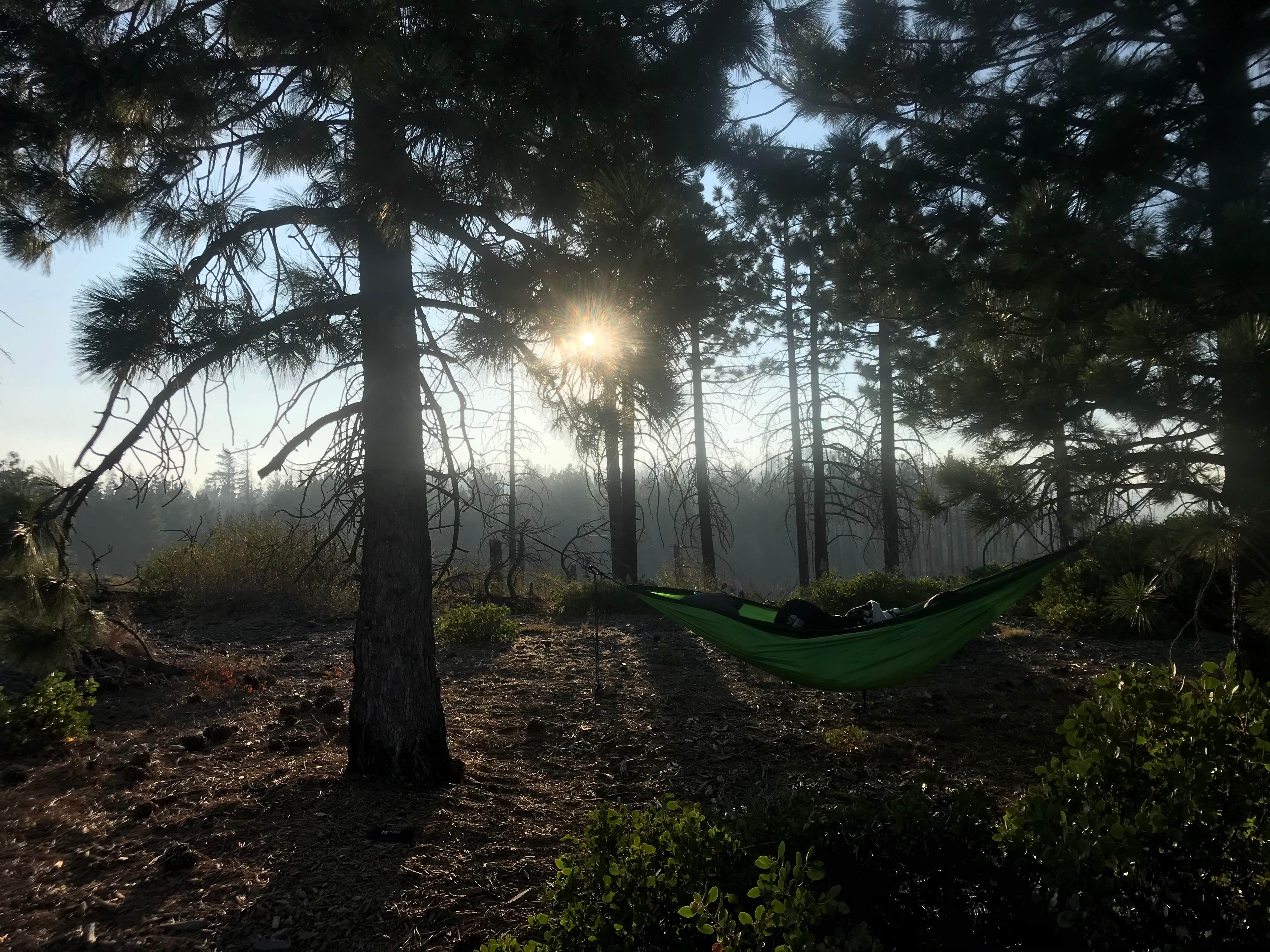 Camper submitted image from Cherry Gap OHV Staging Area - 3