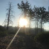 Review photo of Cherry Gap OHV Staging Area by Craig E., May 25, 2022