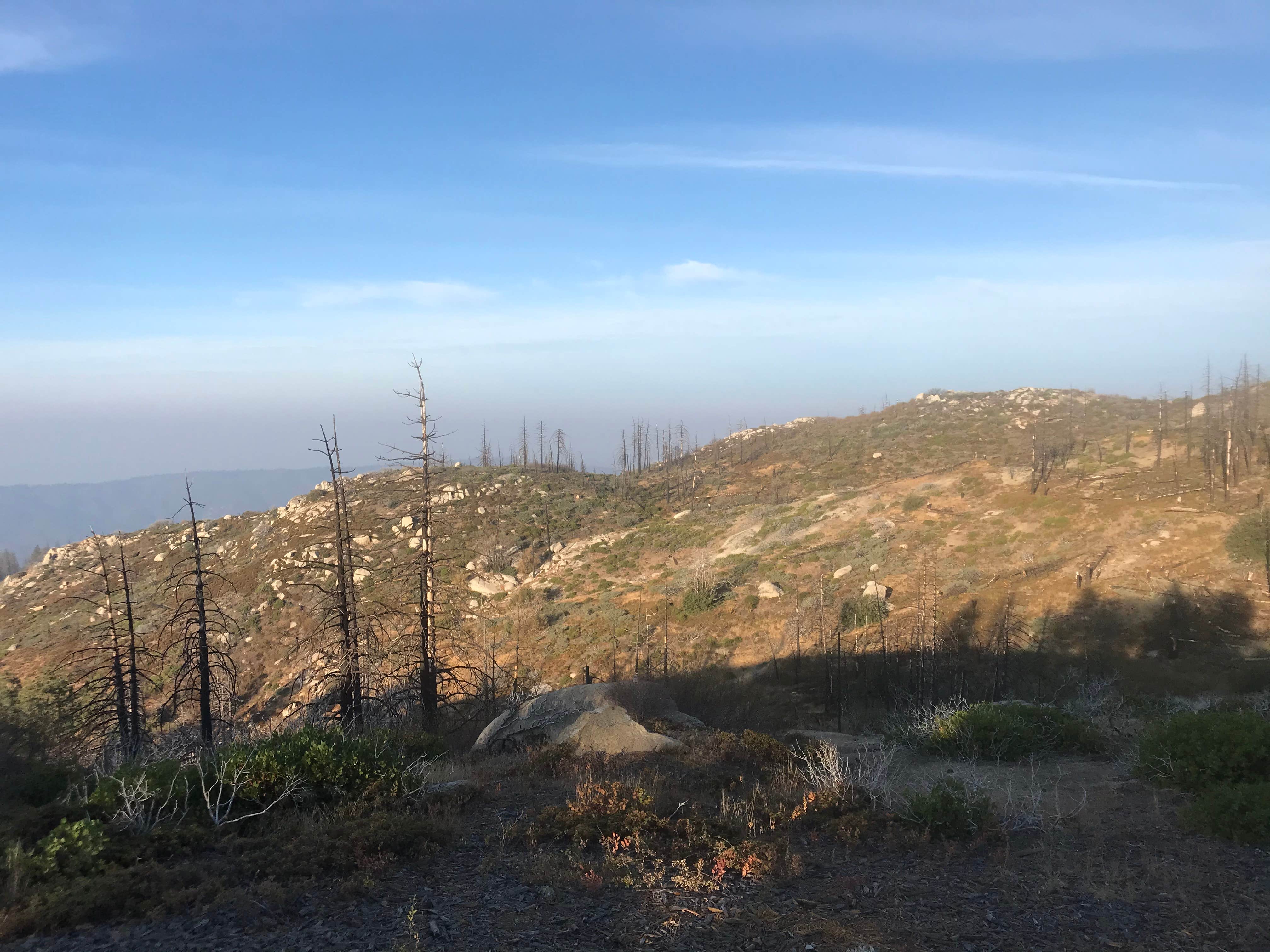 Camper submitted image from Cherry Gap OHV Staging Area - 4