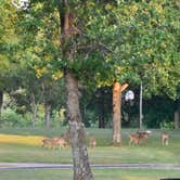 Review photo of Defeated Creek Campground by Debbie F., May 25, 2022