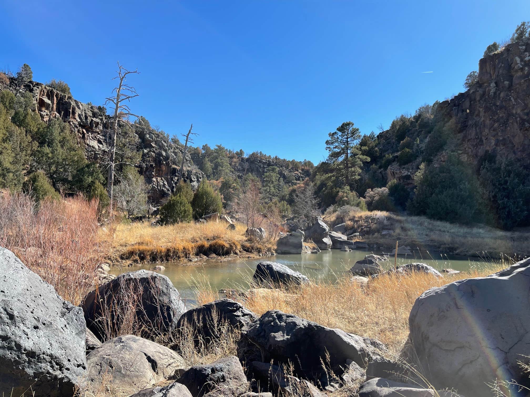 Camper-submitted photo at Vita Bonita Ranch near Wagon Mound, NM