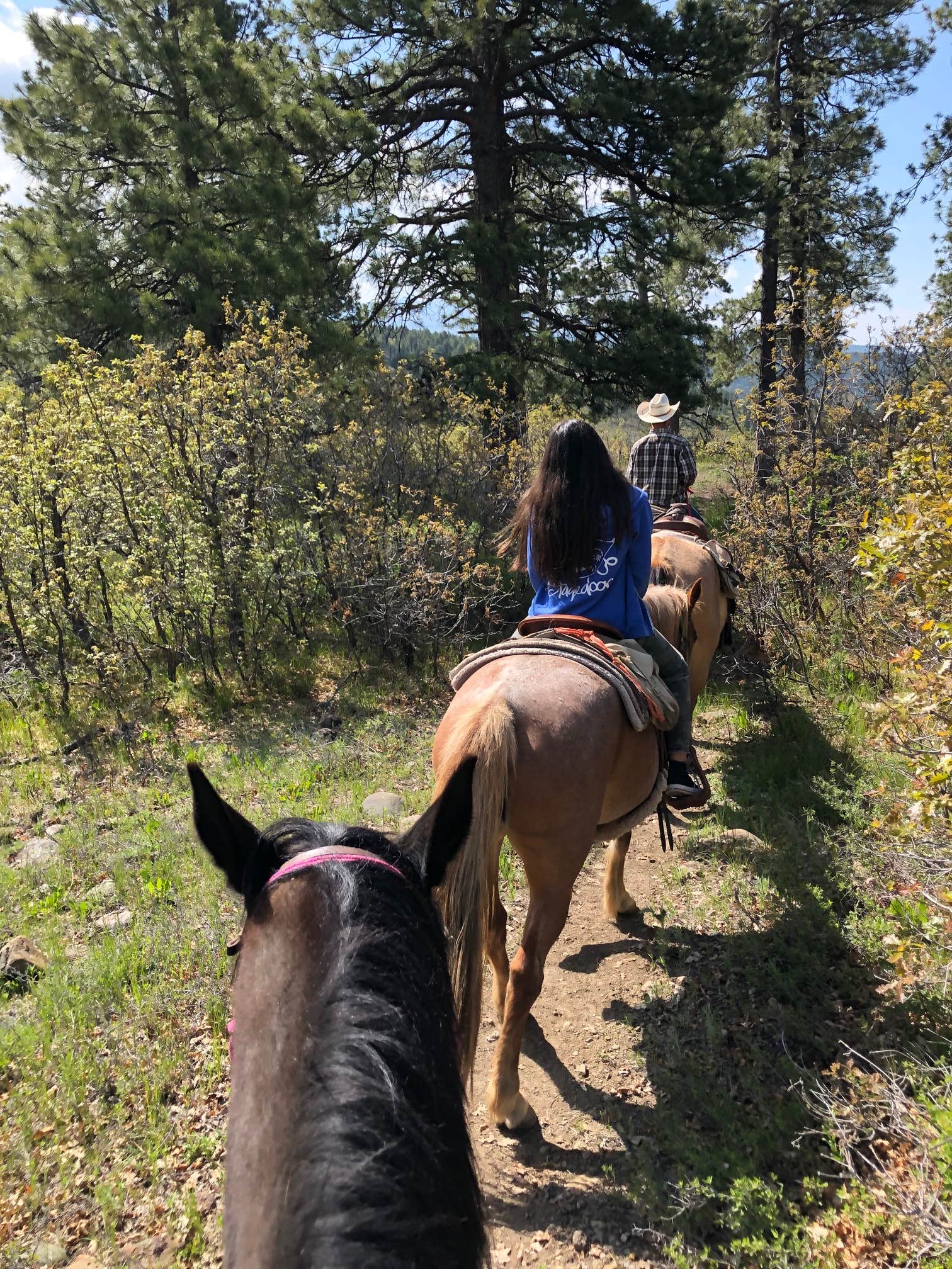 Duc V.'s photo of camping with pets at Vita Bonita Ranch near Wagon Mound, NM