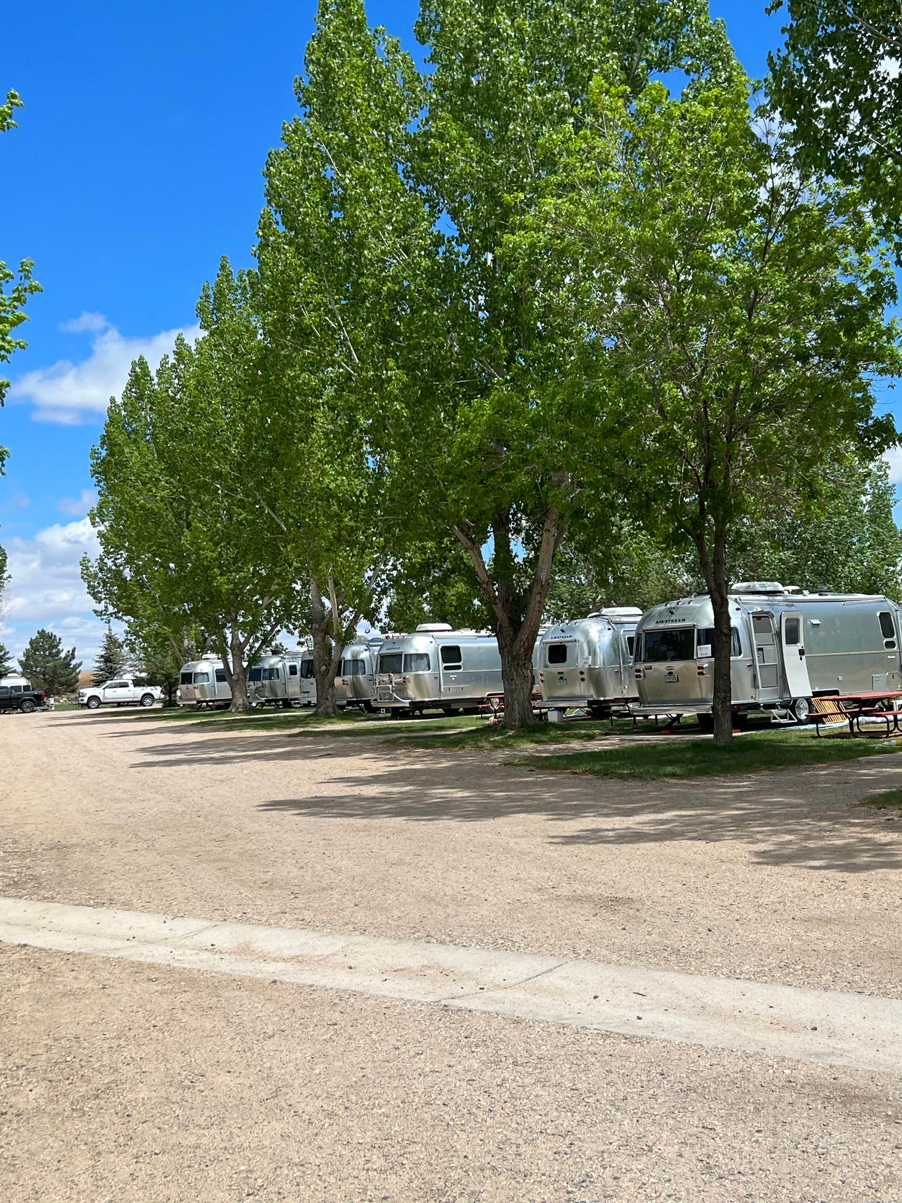 Carol A J.'s photo of rv camping at Grand Junction KOA near Fruita, CO