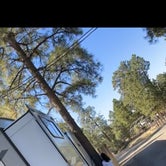 Review photo of Greer's Pine Shadows RV Park by Damon R., May 25, 2022