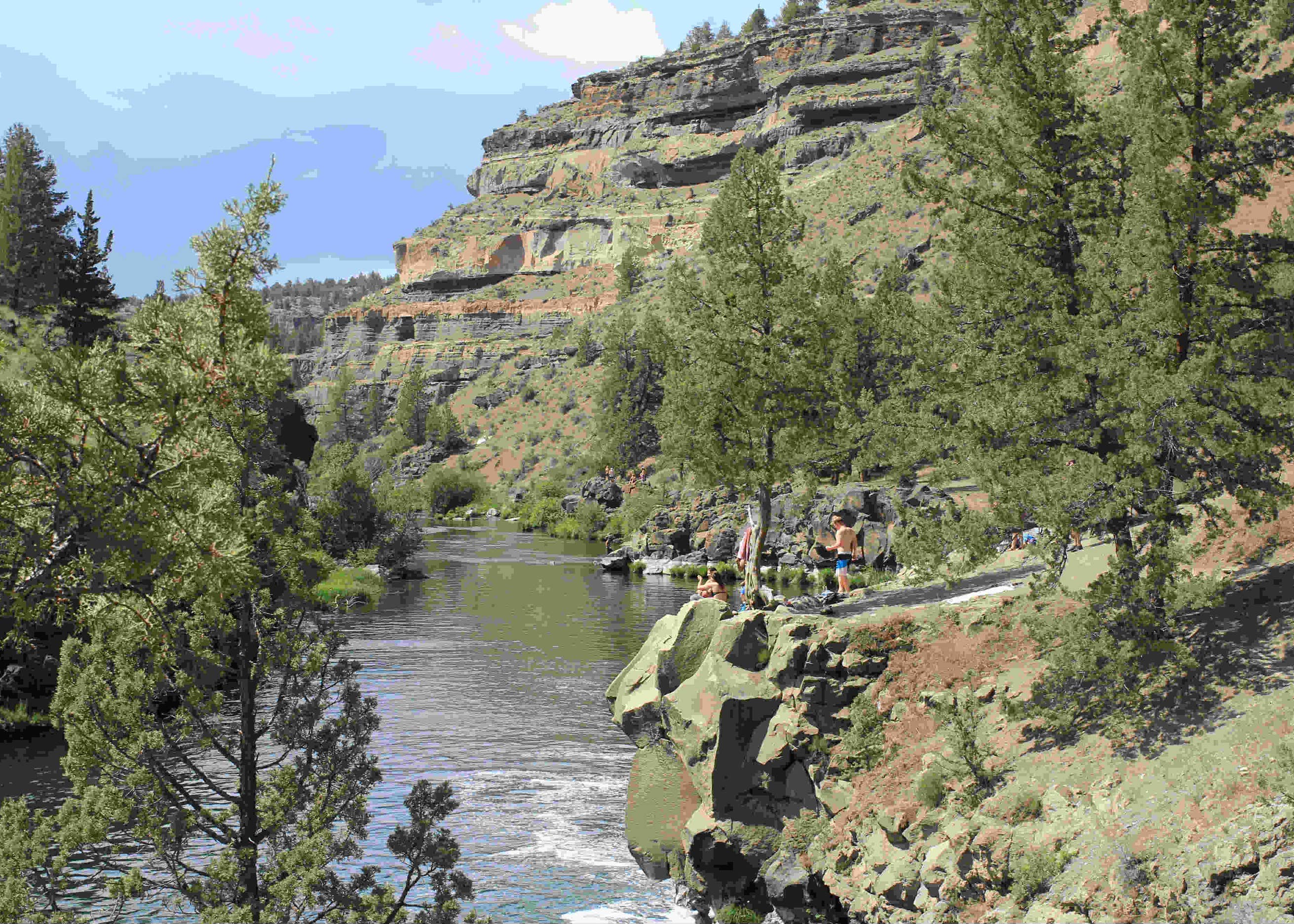 Alder Springs Campground Camping The Dyrt