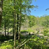 Review photo of Clarence Fahnestock State Park — Clarence Fahnestock Memorial State Park by Katharine T., May 25, 2022