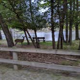 Review photo of Pines Campground — Ludington State Park by Jim & Sarah S., May 25, 2022