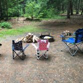 Review photo of Quechee State Park Campground by Jen B., July 14, 2018