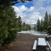 Review photo of Prospector Campground by Jason F., May 24, 2022