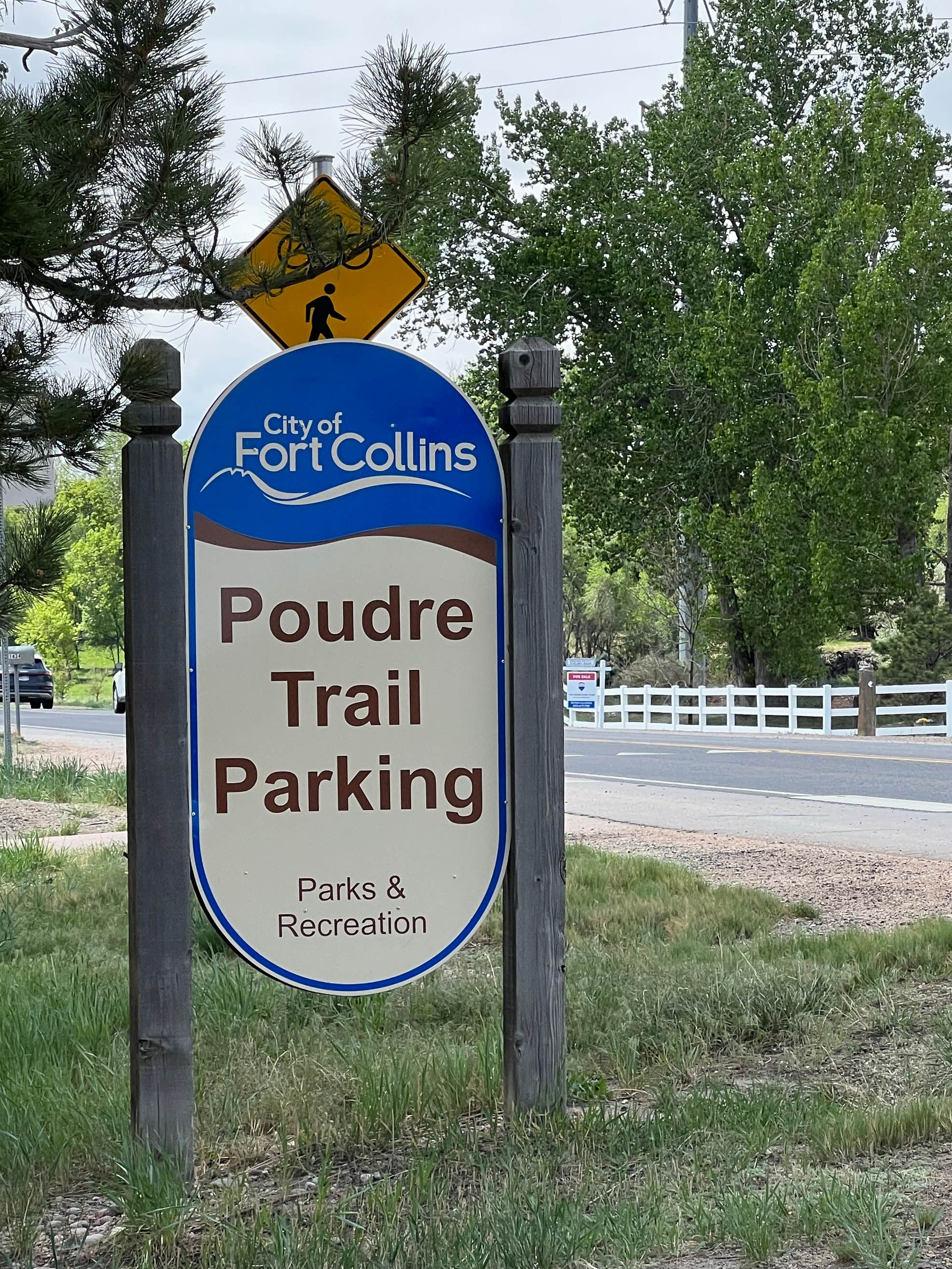 Grand junction blm christmas tree