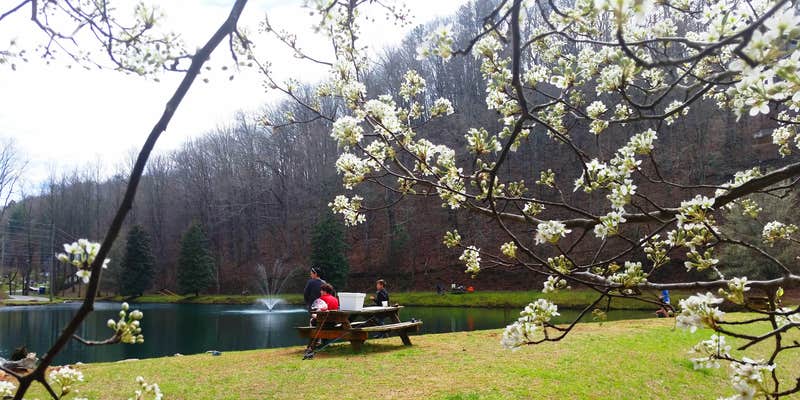 Camper submitted image from Coosawattee River Resort