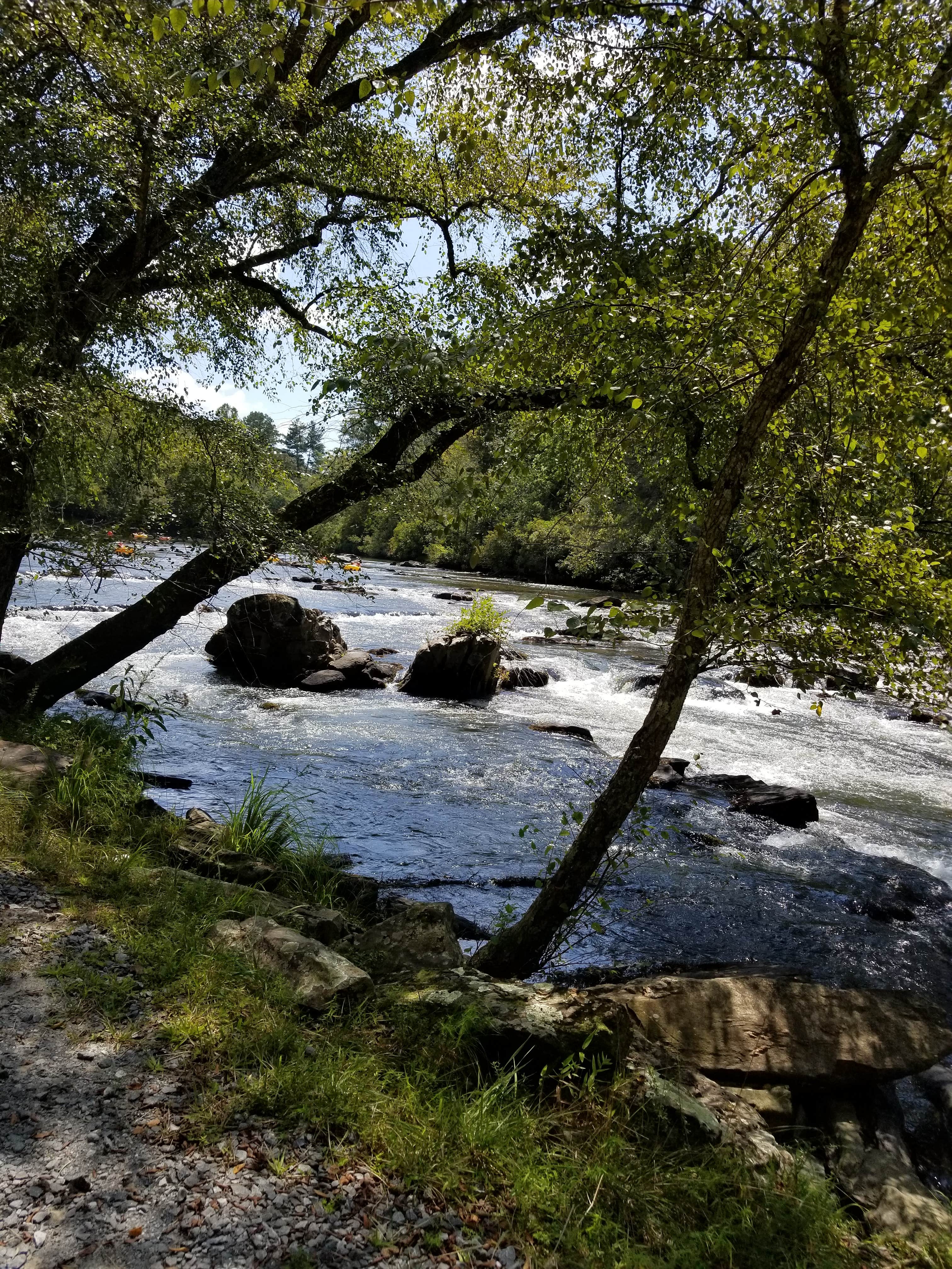 Camper-submitted photo at Coosawattee River Resort near Talking Rock, GA