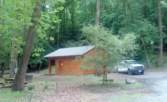 Michele's photo of a cabin at Coosawattee River Resort near Cherry Log, GA