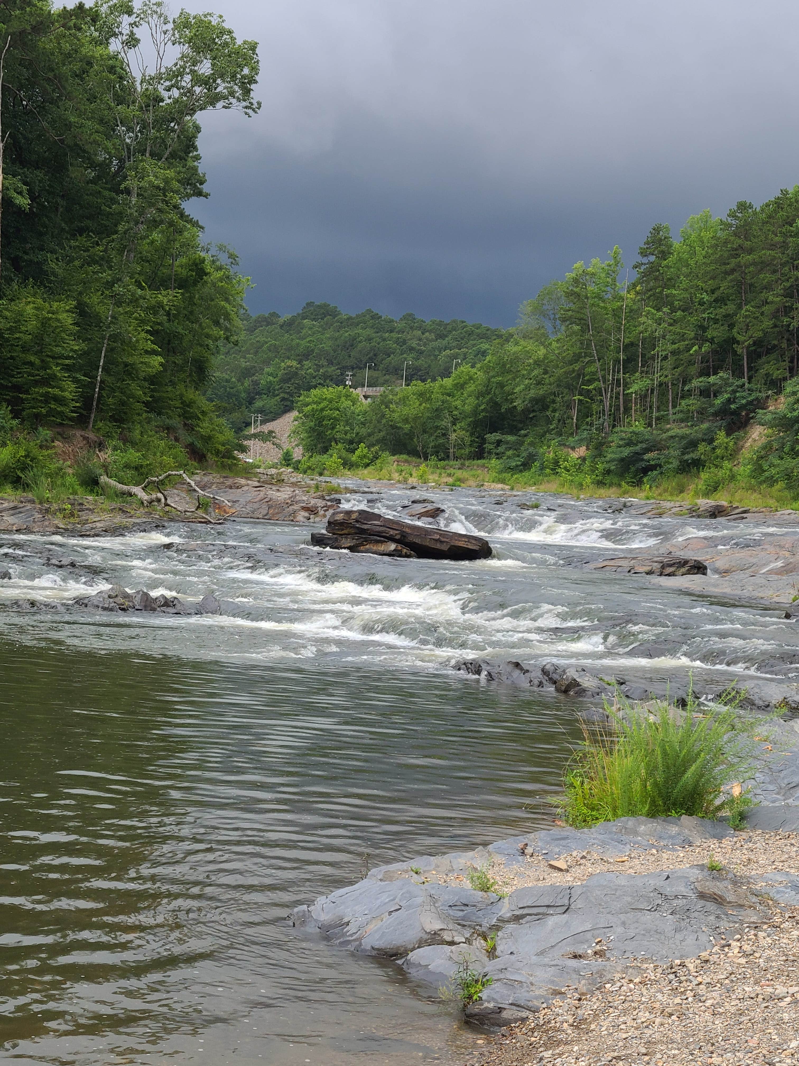 Camper submitted image from Armadillo Circle — Beavers Bend State Park - 3