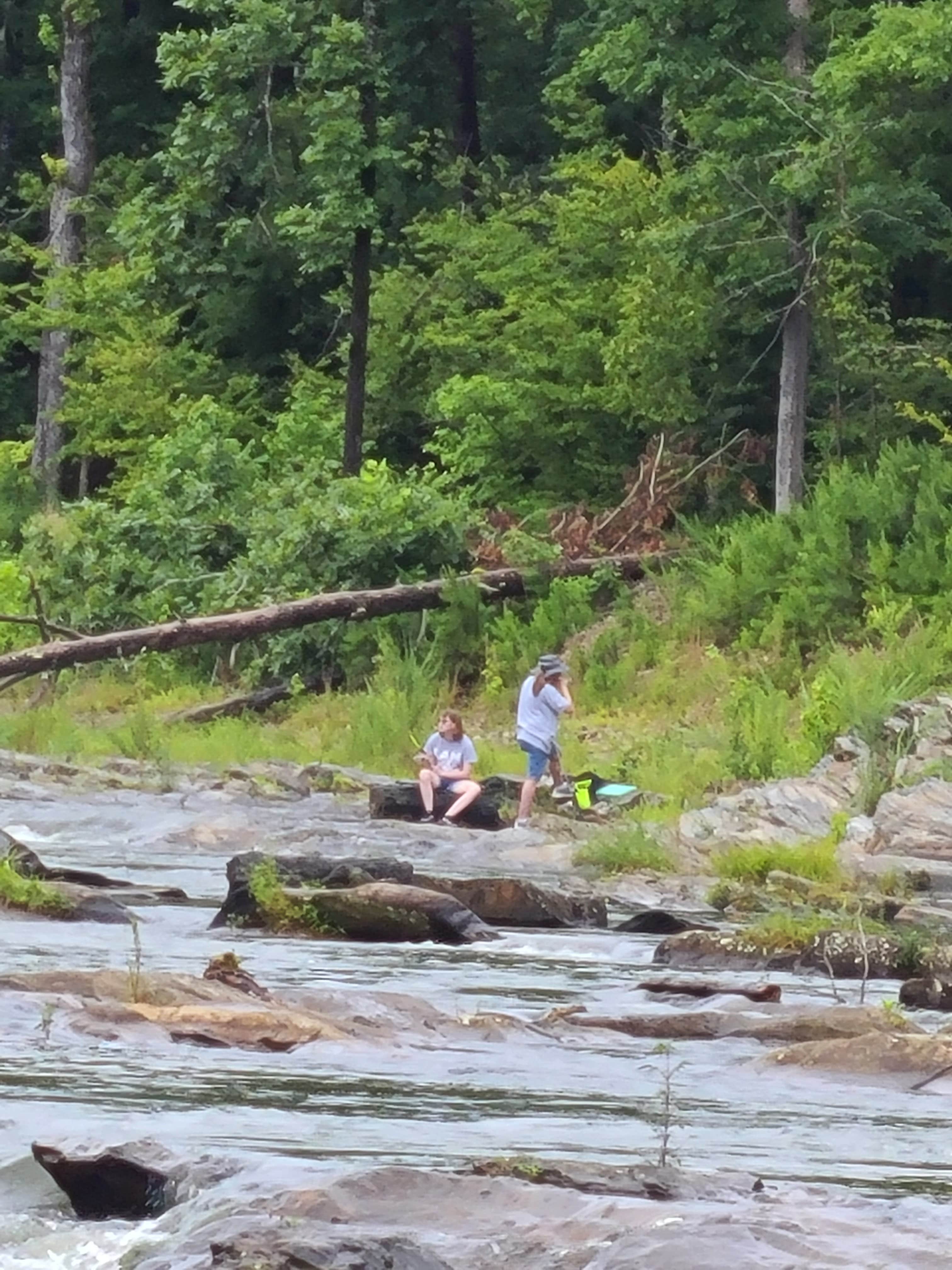 Camper submitted image from Armadillo Circle — Beavers Bend State Park - 2