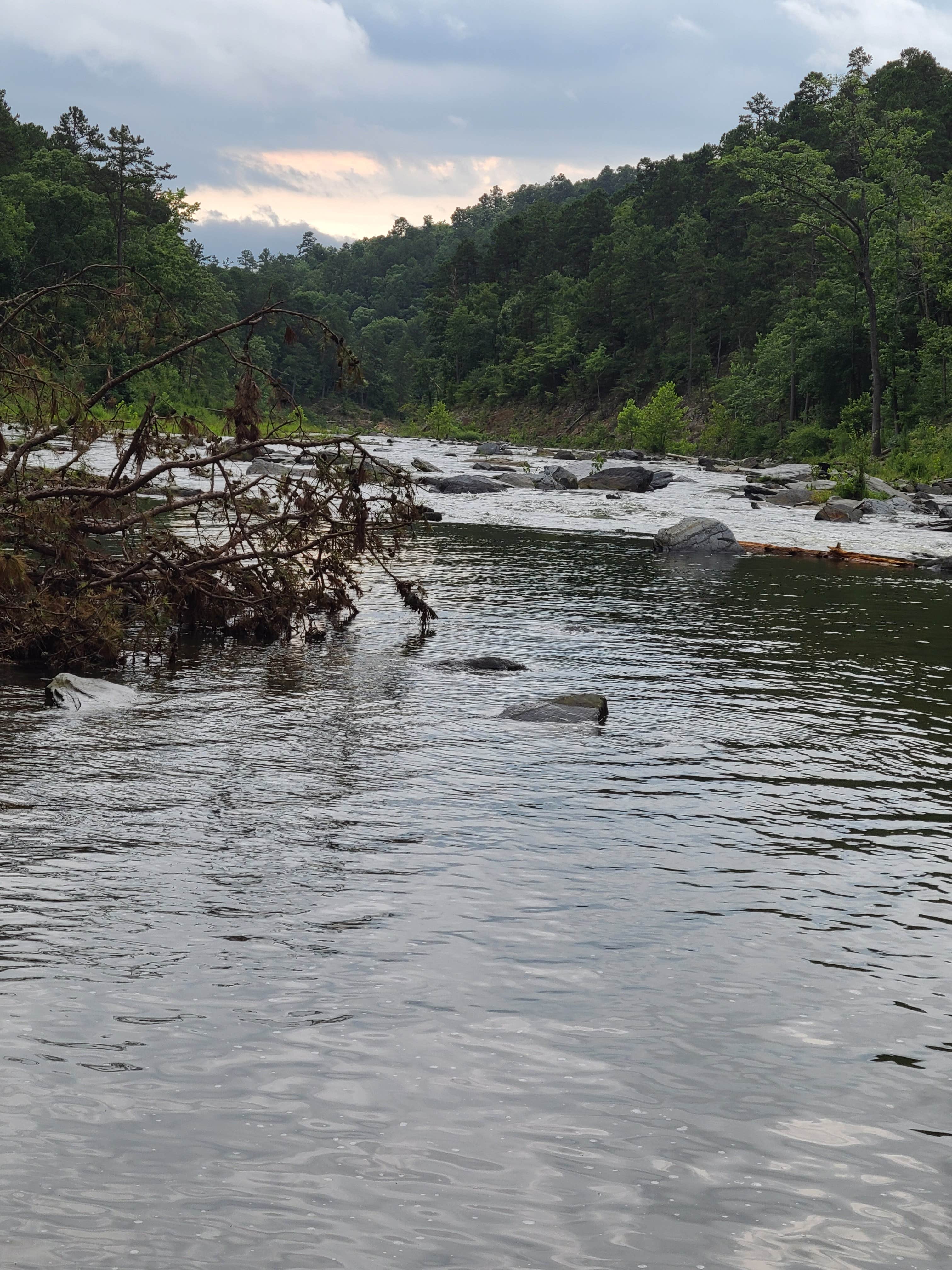 Camper submitted image from Armadillo Circle — Beavers Bend State Park - 2