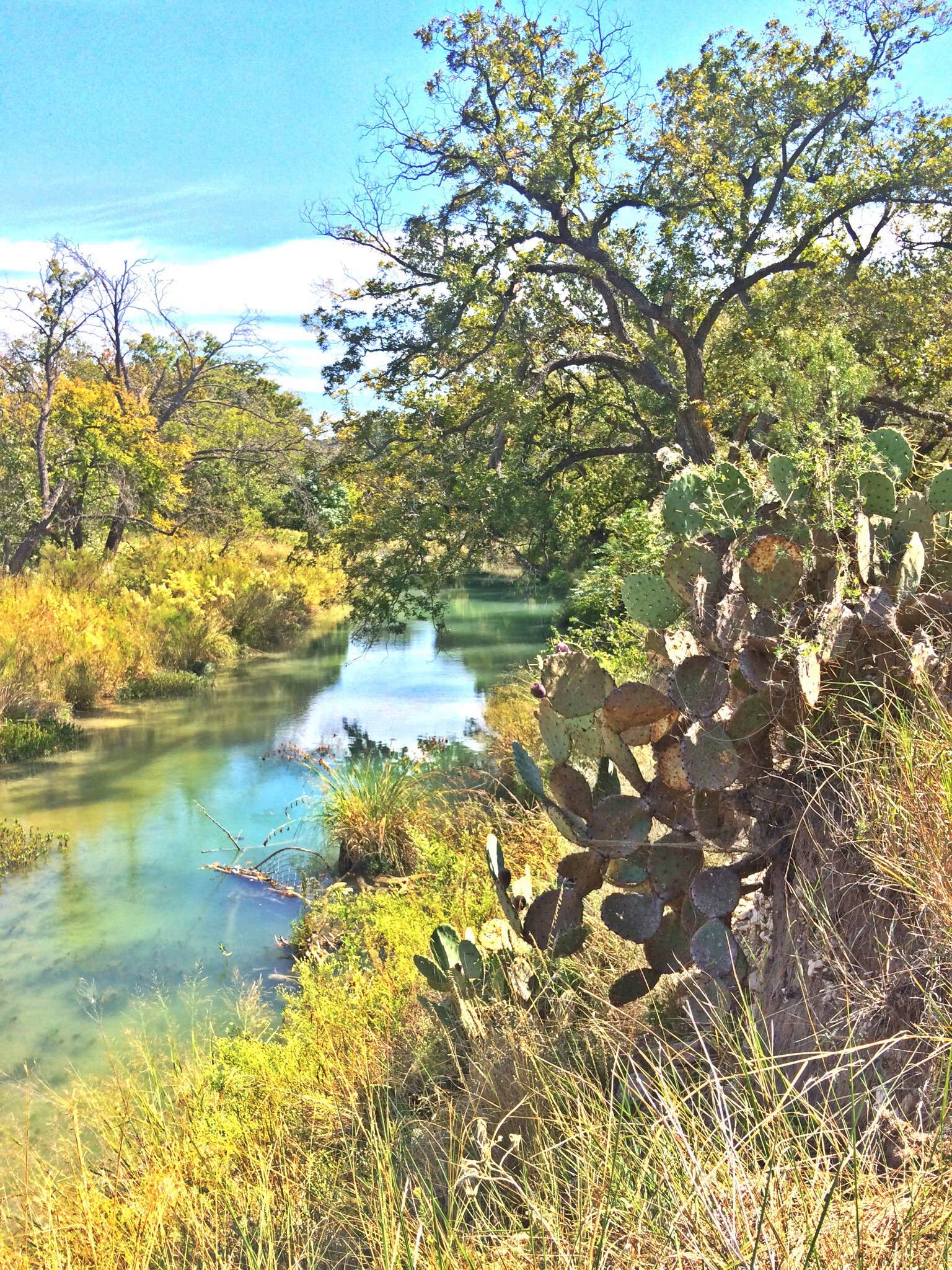 Camper-submitted photo at South Llano River State Park Campground near Junction, TX