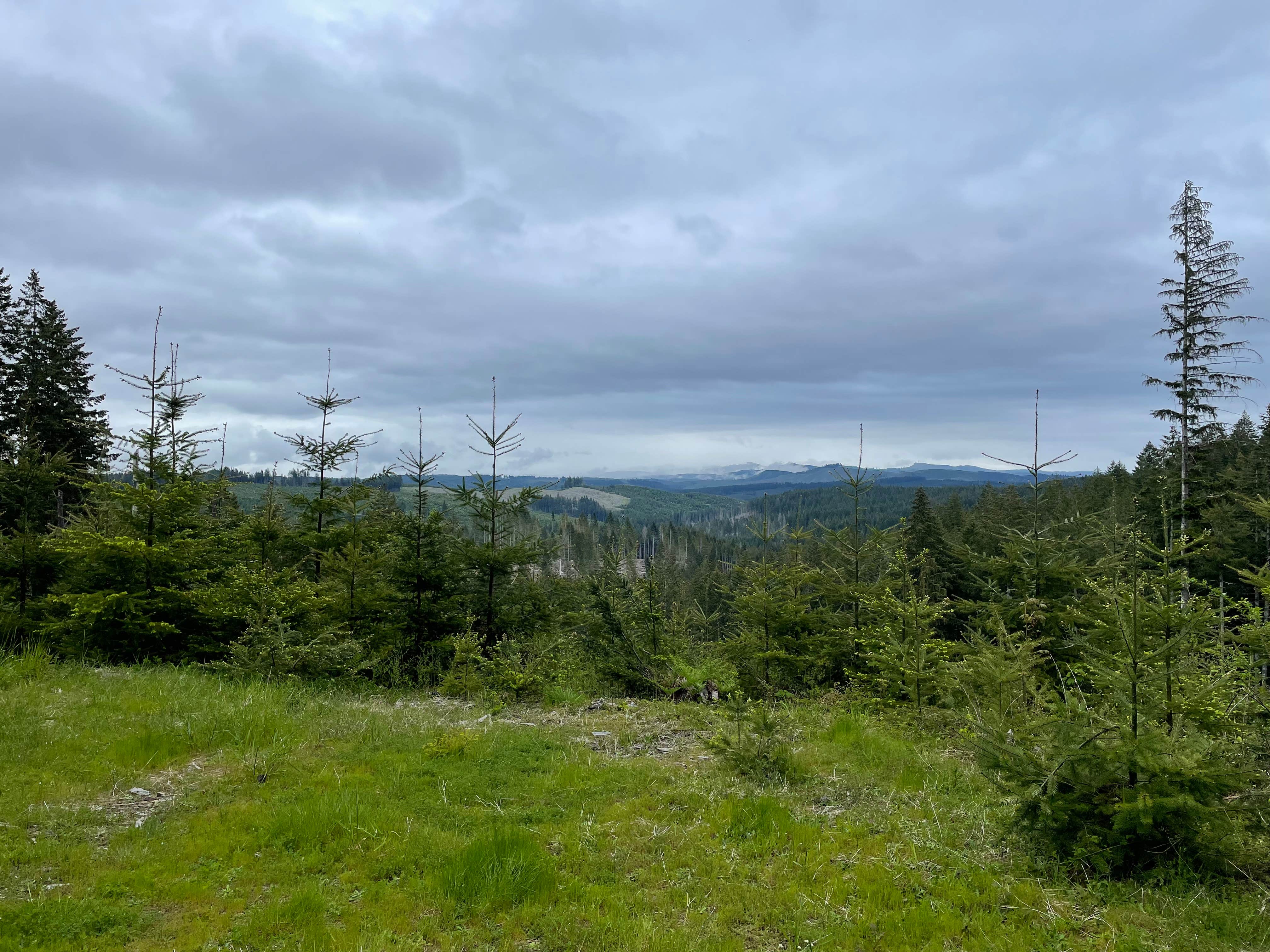 Dispersed Camping Near Tillamook State Forest Oregon 14 Best