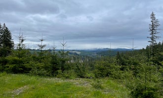Tillamook Forest Dispersed - Shots and Pecks