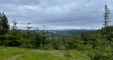 Tillamook Forest Dispersed - Shots and Pecks