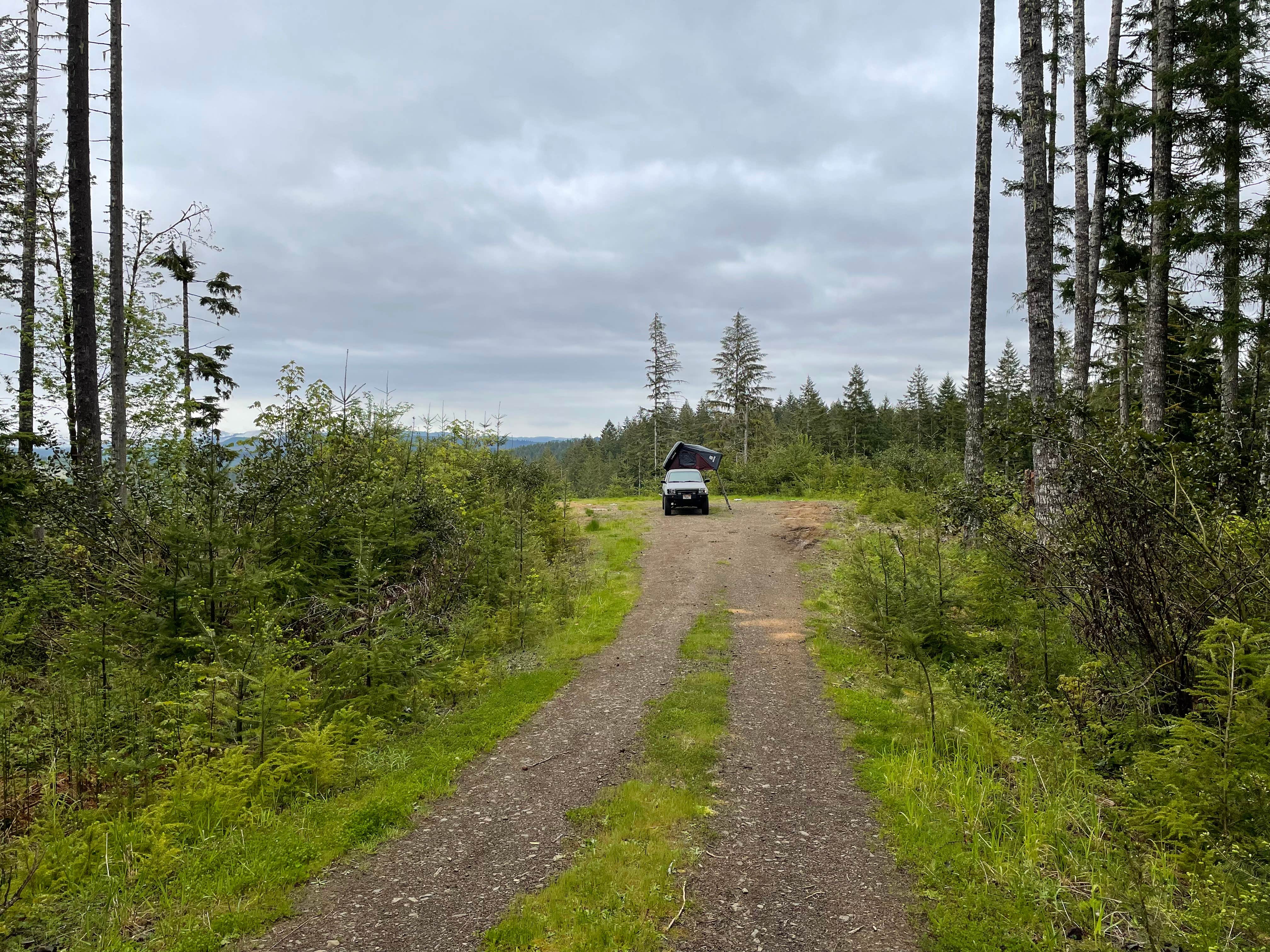 Camper-submitted photo at Tillamook Forest Dispersed - Shots and Pecks near Hillsboro, OR