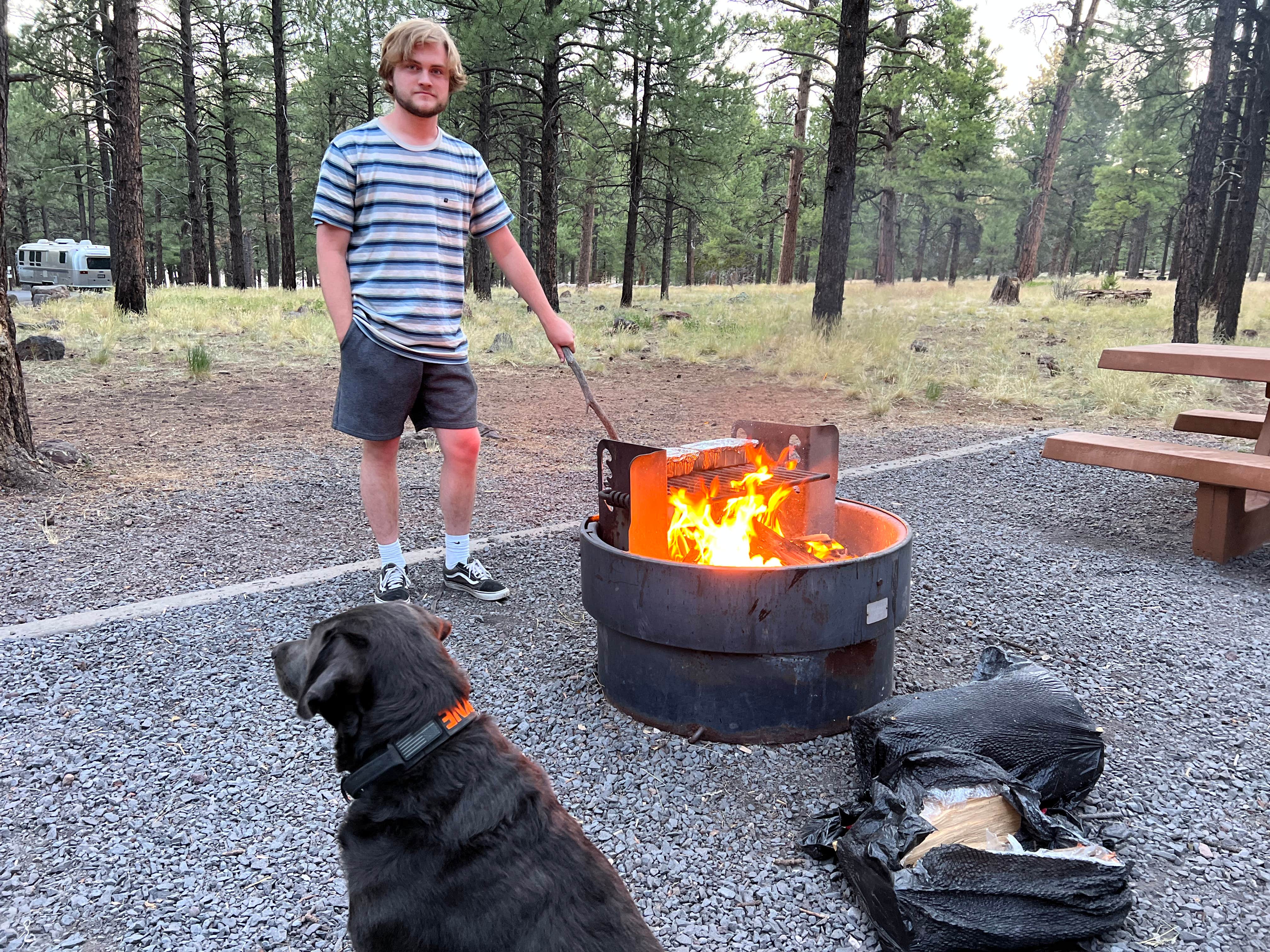 David D.'s photo of camping with pets at Kaibab Lake Sites And Group Areas near Parks, AZ