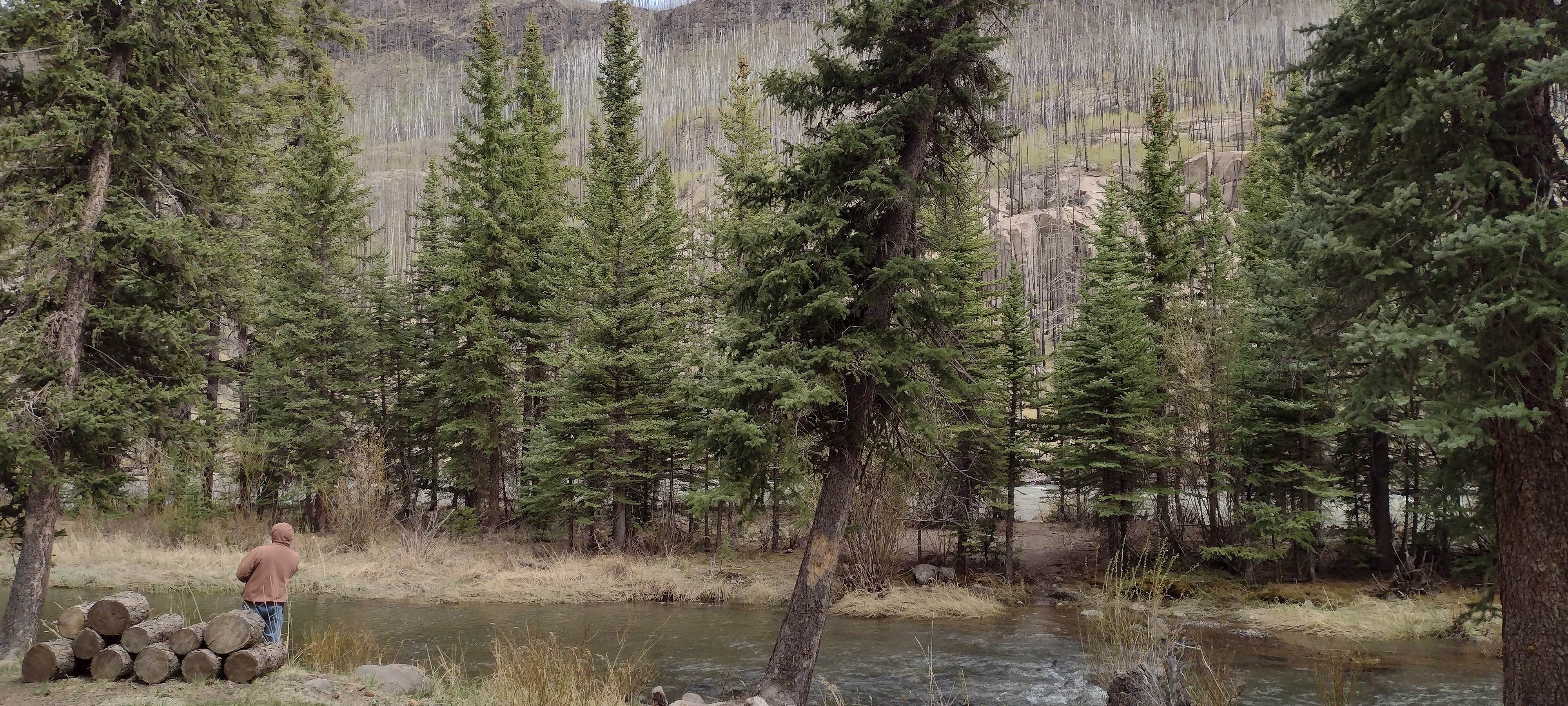 Camper submitted image from Rio Grande National Forest River Hill Campground - 4