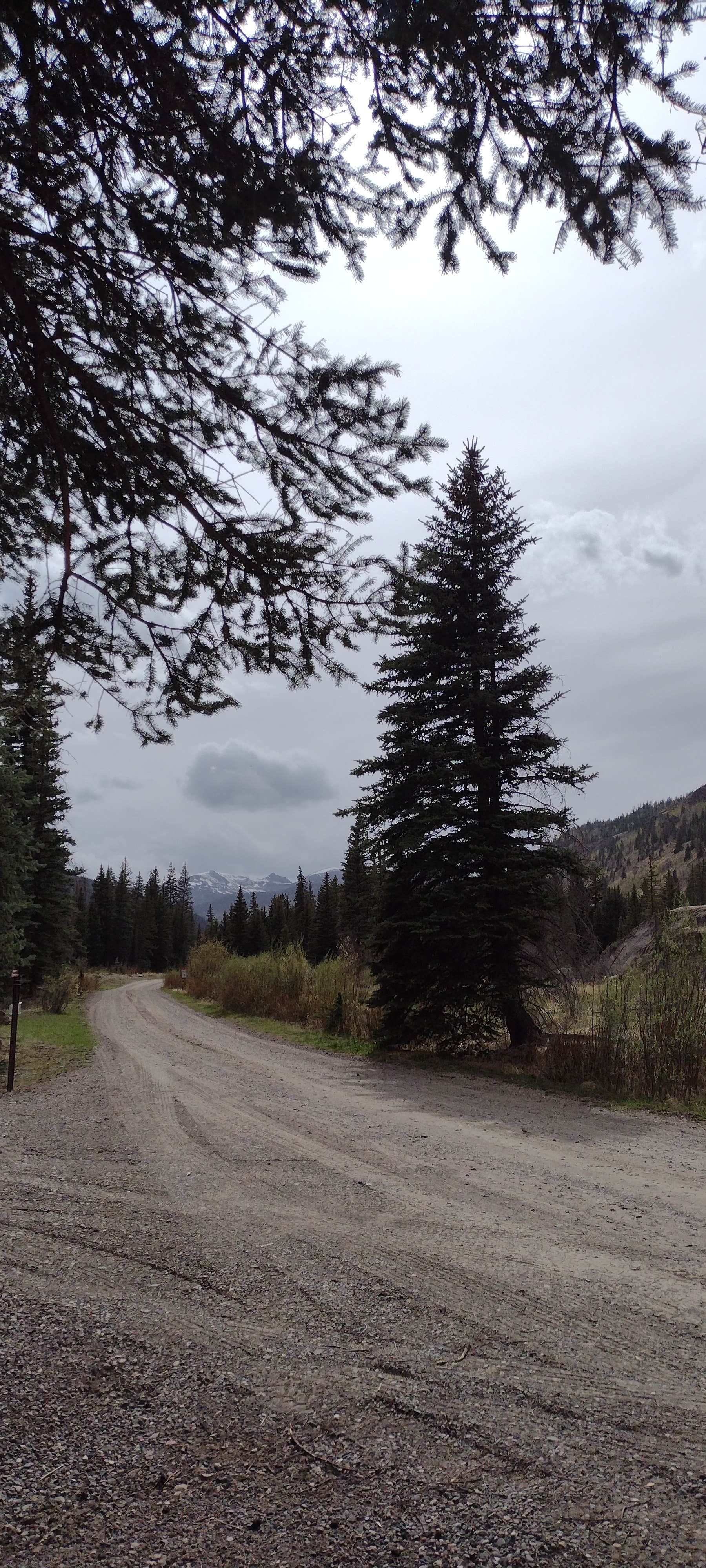 Camper submitted image from Rio Grande National Forest River Hill Campground - 3