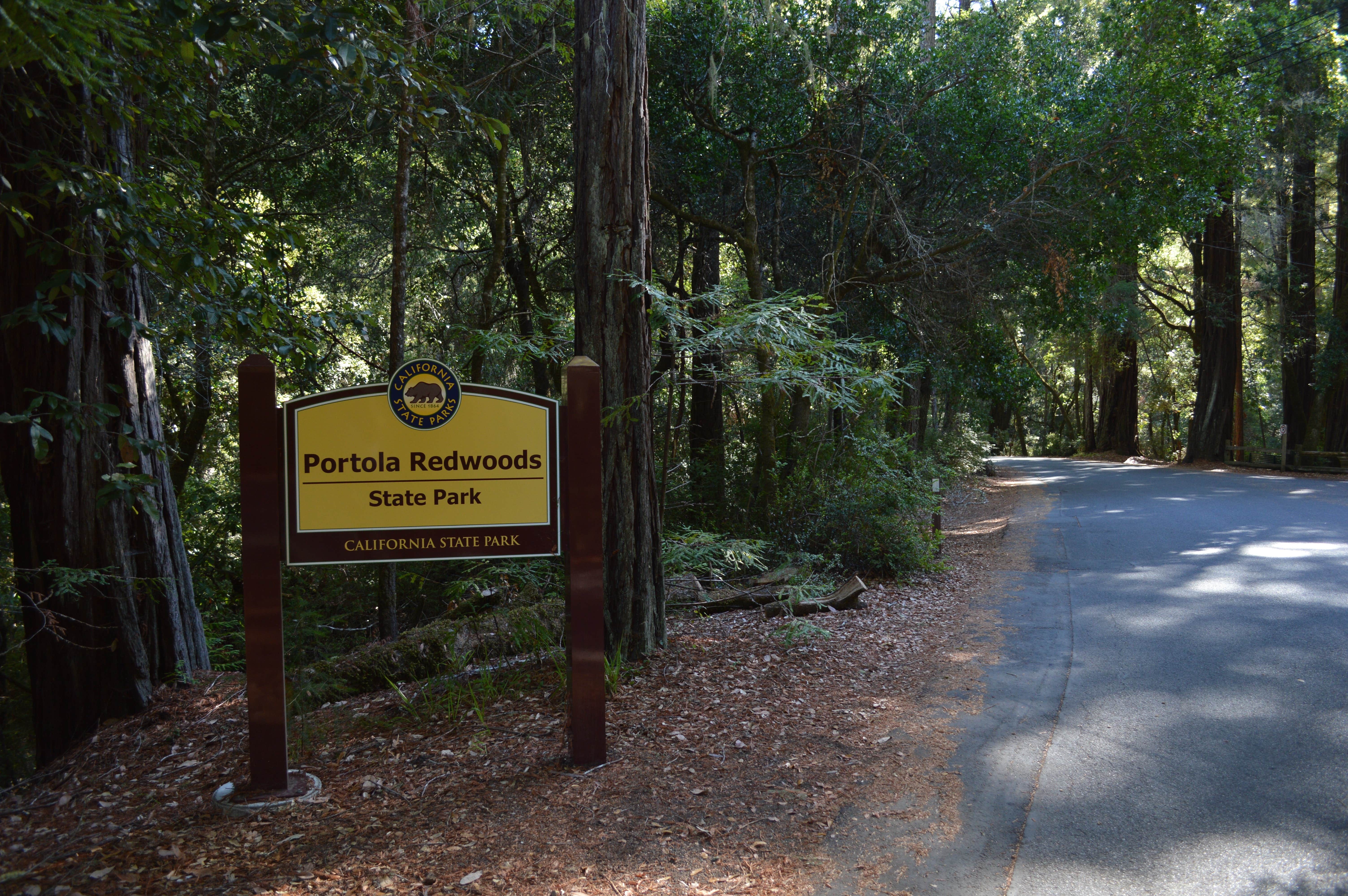Camper submitted image from Elk Prairie Campground — Prairie Creek Redwoods State Park - 5