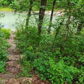 path & stairs down to the bayou