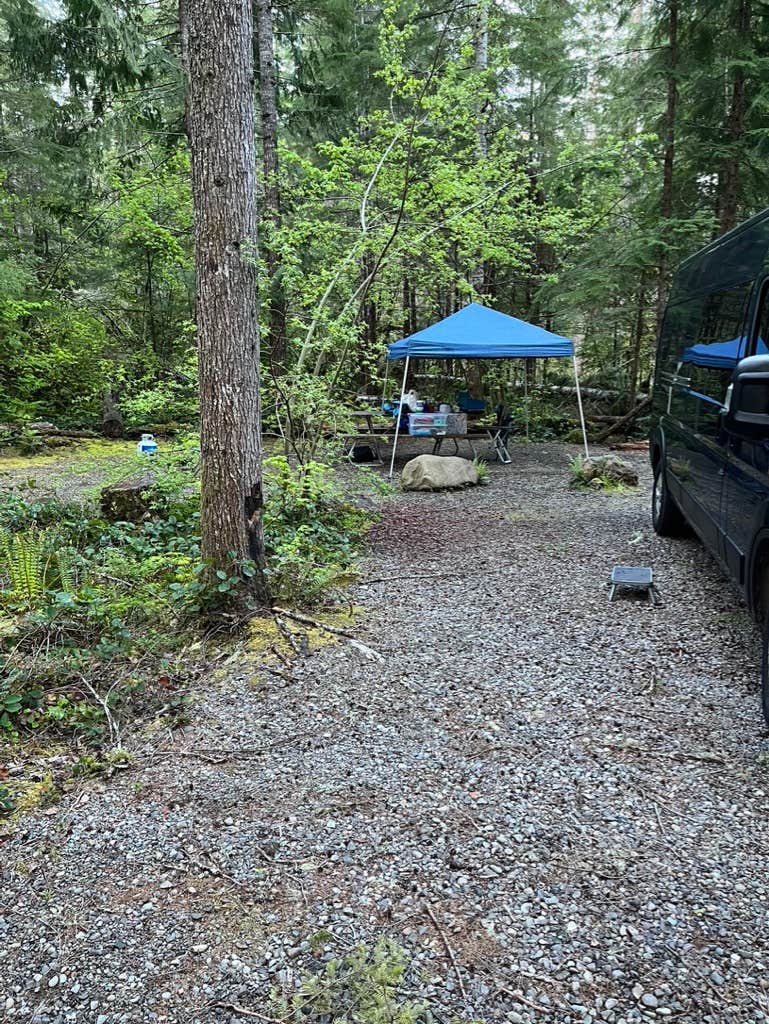 L's photo at Big Creek Campground near Ashford, WA