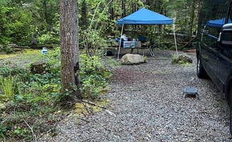 L's photo at Big Creek Campground near Elbe, WA
