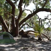 Review photo of Brickhill Bluff Wilderness Campsite — Cumberland Island National Seashore by PJ S., July 14, 2018