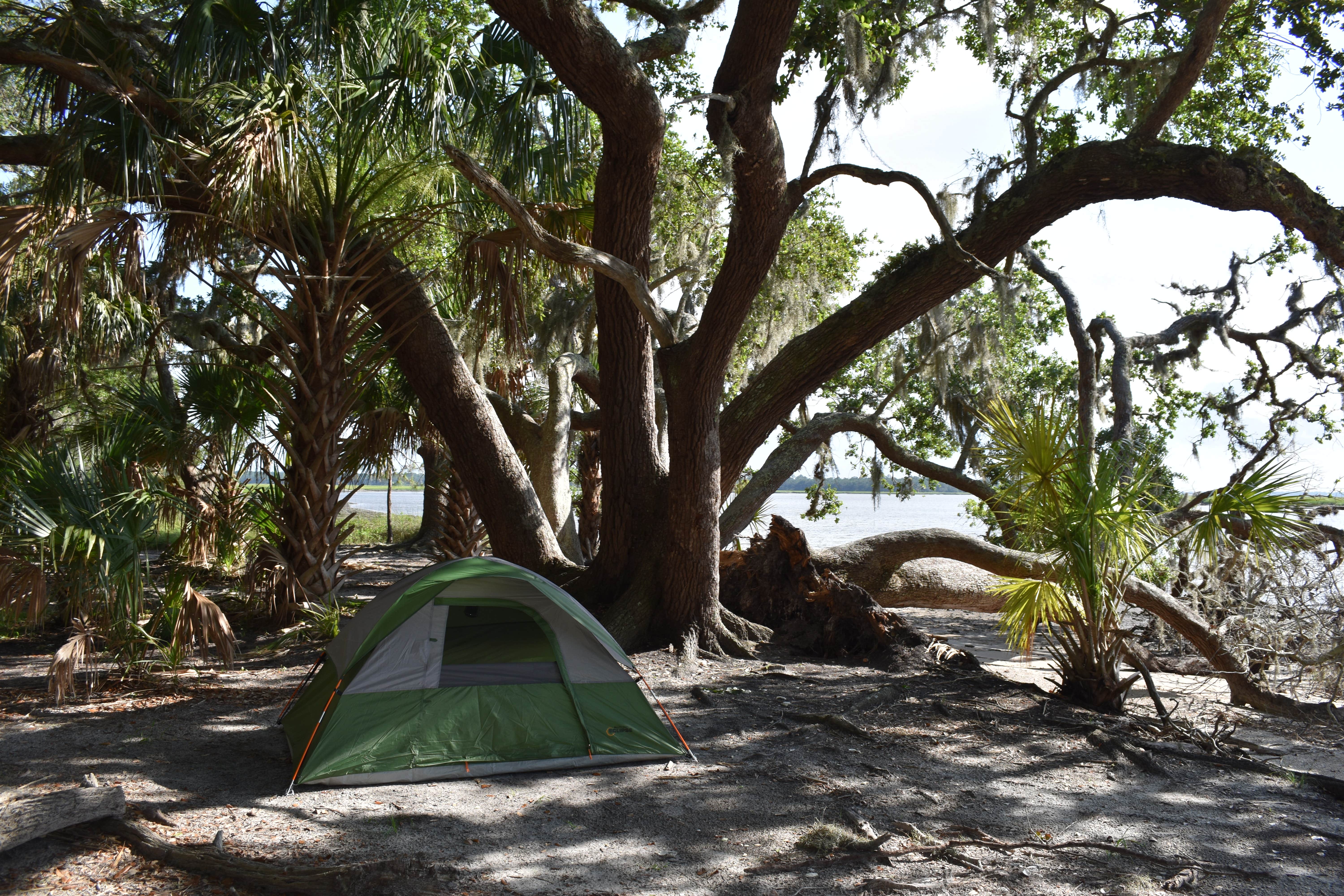 Camper submitted image from Brickhill Bluff Wilderness Campsite — Cumberland Island National Seashore - 5