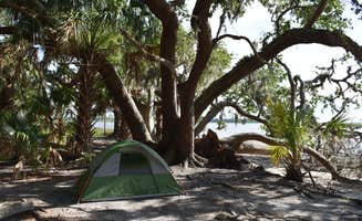 PJ S.'s photo at Brickhill Bluff Wilderness Campsite — Cumberland Island National Seashore in Georgia