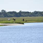 Review photo of Brickhill Bluff Wilderness Campsite — Cumberland Island National Seashore by PJ S., July 14, 2018