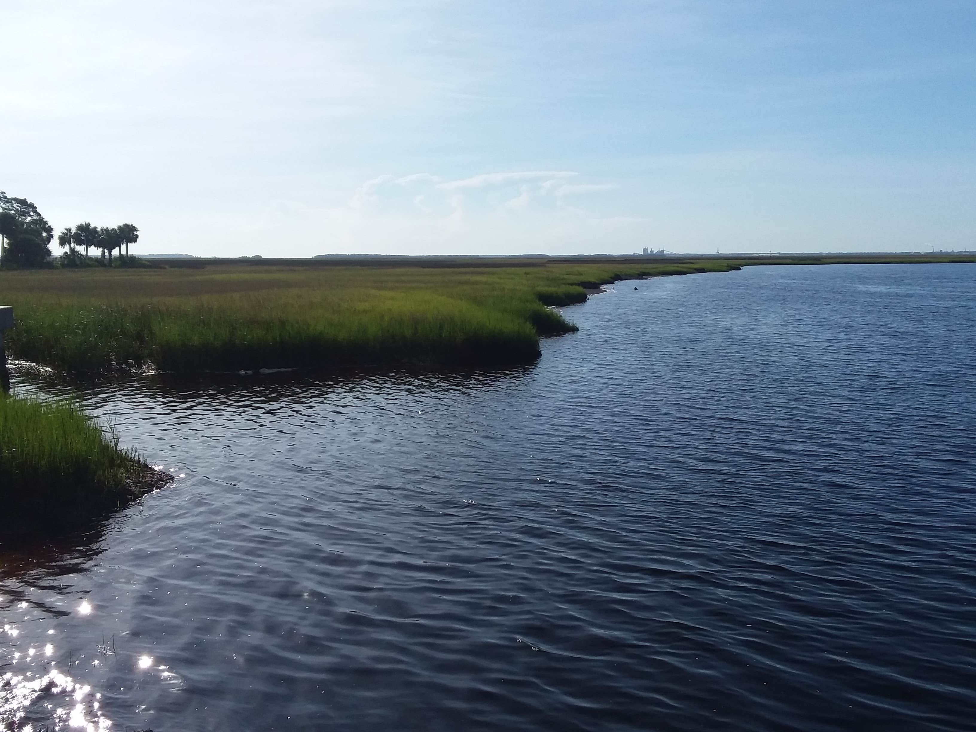 Camper submitted image from Brickhill Bluff Wilderness Campsite — Cumberland Island National Seashore - 2