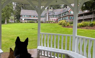 L's photo of camping with pets at Willaby Campground near Olympic National Forest