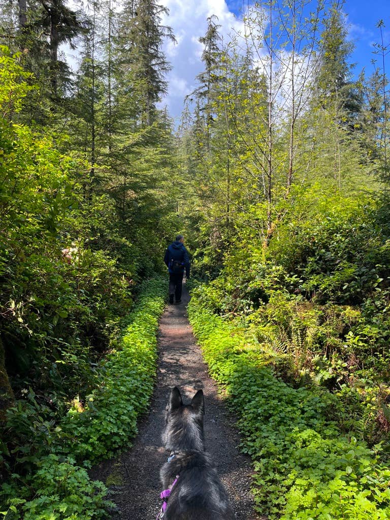 L's photo of camping with pets at Willaby Campground near Pacific Beach, WA