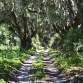 Review photo of Brickhill Bluff Wilderness Campsite — Cumberland Island National Seashore by PJ S., July 14, 2018