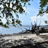 Review photo of Brickhill Bluff Wilderness Campsite — Cumberland Island National Seashore by PJ S., July 14, 2018