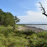 Review photo of Brickhill Bluff Wilderness Campsite — Cumberland Island National Seashore by PJ S., July 14, 2018